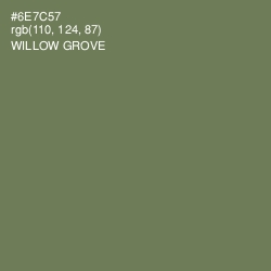 #6E7C57 - Willow Grove Color Image