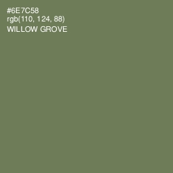 #6E7C58 - Willow Grove Color Image