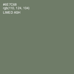 #6E7C68 - Limed Ash Color Image