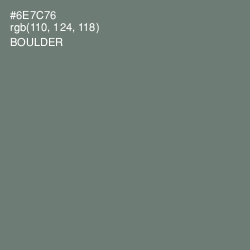 #6E7C76 - Boulder Color Image