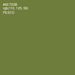 #6E7D3B - Pesto Color Image