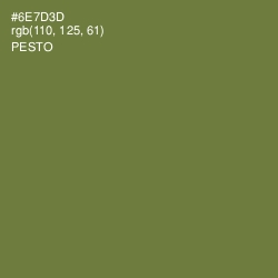 #6E7D3D - Pesto Color Image