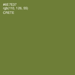 #6E7E37 - Crete Color Image