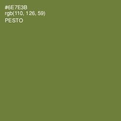 #6E7E3B - Pesto Color Image