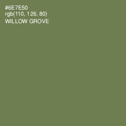 #6E7E50 - Willow Grove Color Image