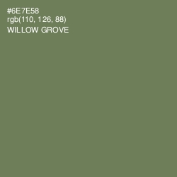 #6E7E58 - Willow Grove Color Image