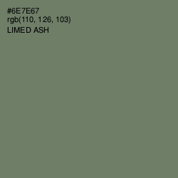 #6E7E67 - Limed Ash Color Image