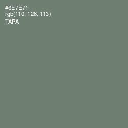 #6E7E71 - Tapa Color Image