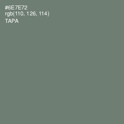 #6E7E72 - Tapa Color Image