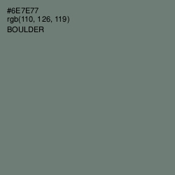 #6E7E77 - Boulder Color Image