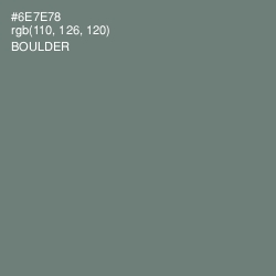 #6E7E78 - Boulder Color Image