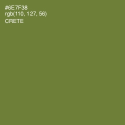 #6E7F38 - Crete Color Image