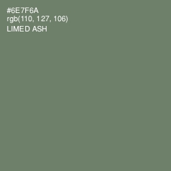 #6E7F6A - Limed Ash Color Image