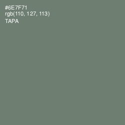 #6E7F71 - Tapa Color Image