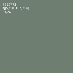 #6E7F72 - Tapa Color Image