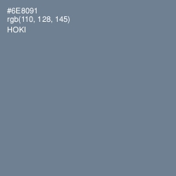 #6E8091 - Hoki Color Image