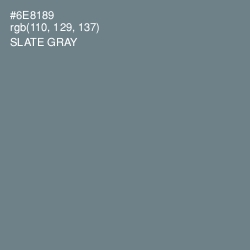 #6E8189 - Slate Gray Color Image