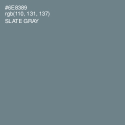 #6E8389 - Slate Gray Color Image