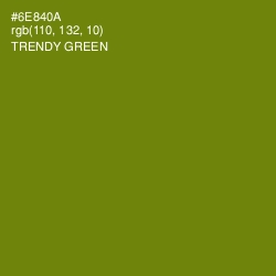 #6E840A - Trendy Green Color Image