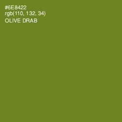 #6E8422 - Olive Drab Color Image