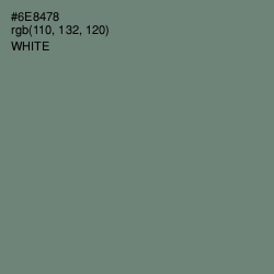 #6E8478 - Viridian Green Color Image