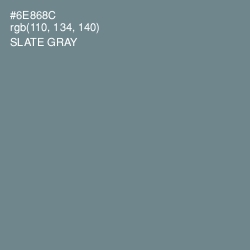 #6E868C - Slate Gray Color Image