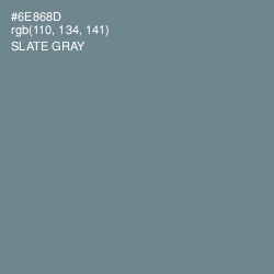 #6E868D - Slate Gray Color Image