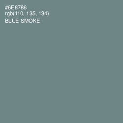 #6E8786 - Blue Smoke Color Image