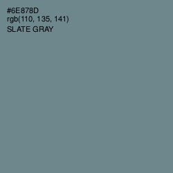 #6E878D - Slate Gray Color Image