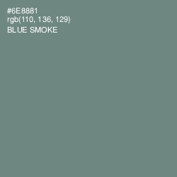 #6E8881 - Blue Smoke Color Image