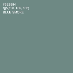 #6E8884 - Blue Smoke Color Image