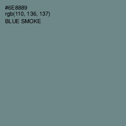 #6E8889 - Blue Smoke Color Image