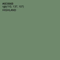 #6E896B - Highland Color Image