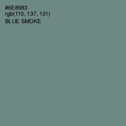 #6E8983 - Blue Smoke Color Image