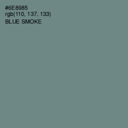 #6E8985 - Blue Smoke Color Image