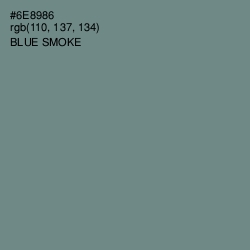 #6E8986 - Blue Smoke Color Image