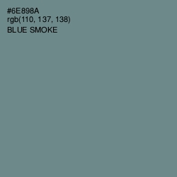 #6E898A - Blue Smoke Color Image