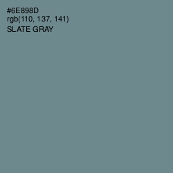 #6E898D - Slate Gray Color Image