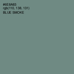 #6E8A83 - Blue Smoke Color Image