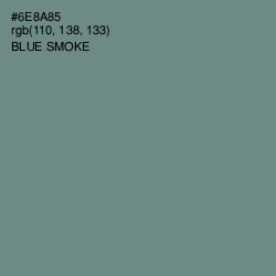 #6E8A85 - Blue Smoke Color Image