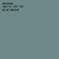 #6E8A88 - Blue Smoke Color Image