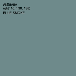 #6E8A8A - Blue Smoke Color Image