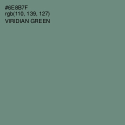 #6E8B7F - Viridian Green Color Image