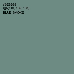 #6E8B83 - Blue Smoke Color Image