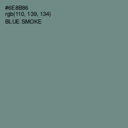 #6E8B86 - Blue Smoke Color Image