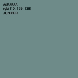 #6E8B8A - Juniper Color Image