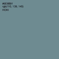 #6E8B91 - Hoki Color Image