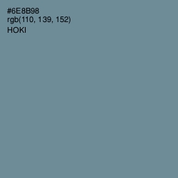 #6E8B98 - Hoki Color Image