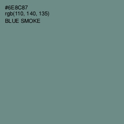 #6E8C87 - Blue Smoke Color Image