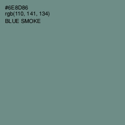 #6E8D86 - Blue Smoke Color Image